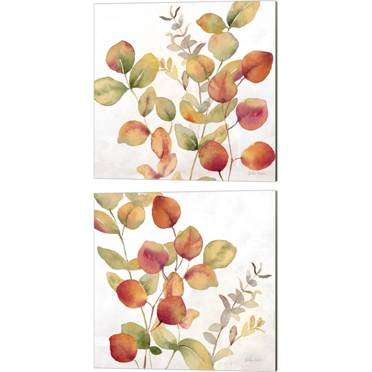 Eucalyptus Leaves Spice by Cynthia Coulter 14" x 14" Canvas Wall Art (Set of 2)
